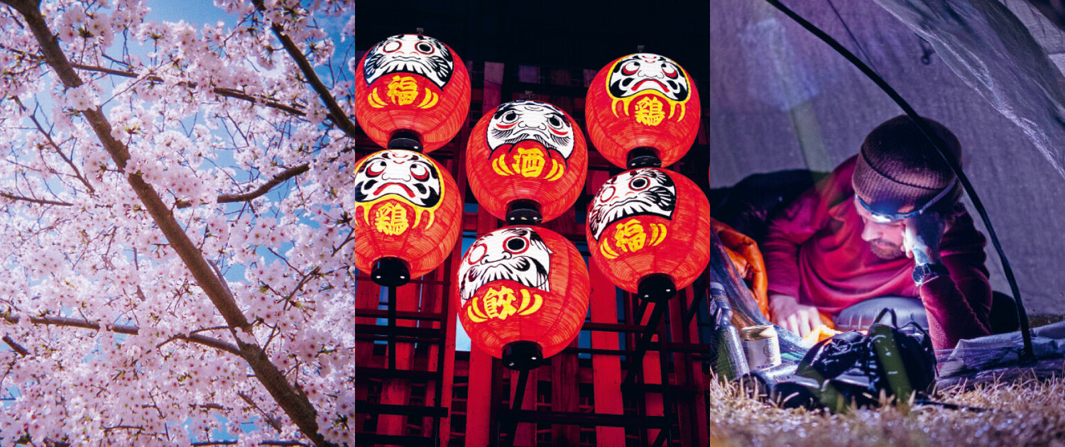 Dreiteiliges Bild: Kirschbl&uuml;ten von unten, rote japanische Daruma-Laternen bei Nacht, Person mit Stirnlampe im Zelt.